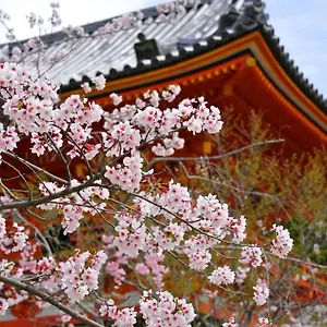 Aparthotel Sakura Gion North Kyoto
